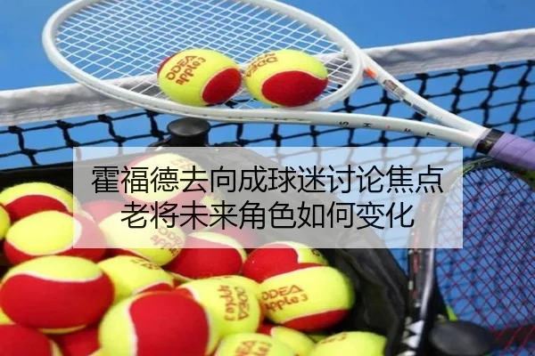 霍福德去向成球迷讨论焦点 老将未来角色如何变化